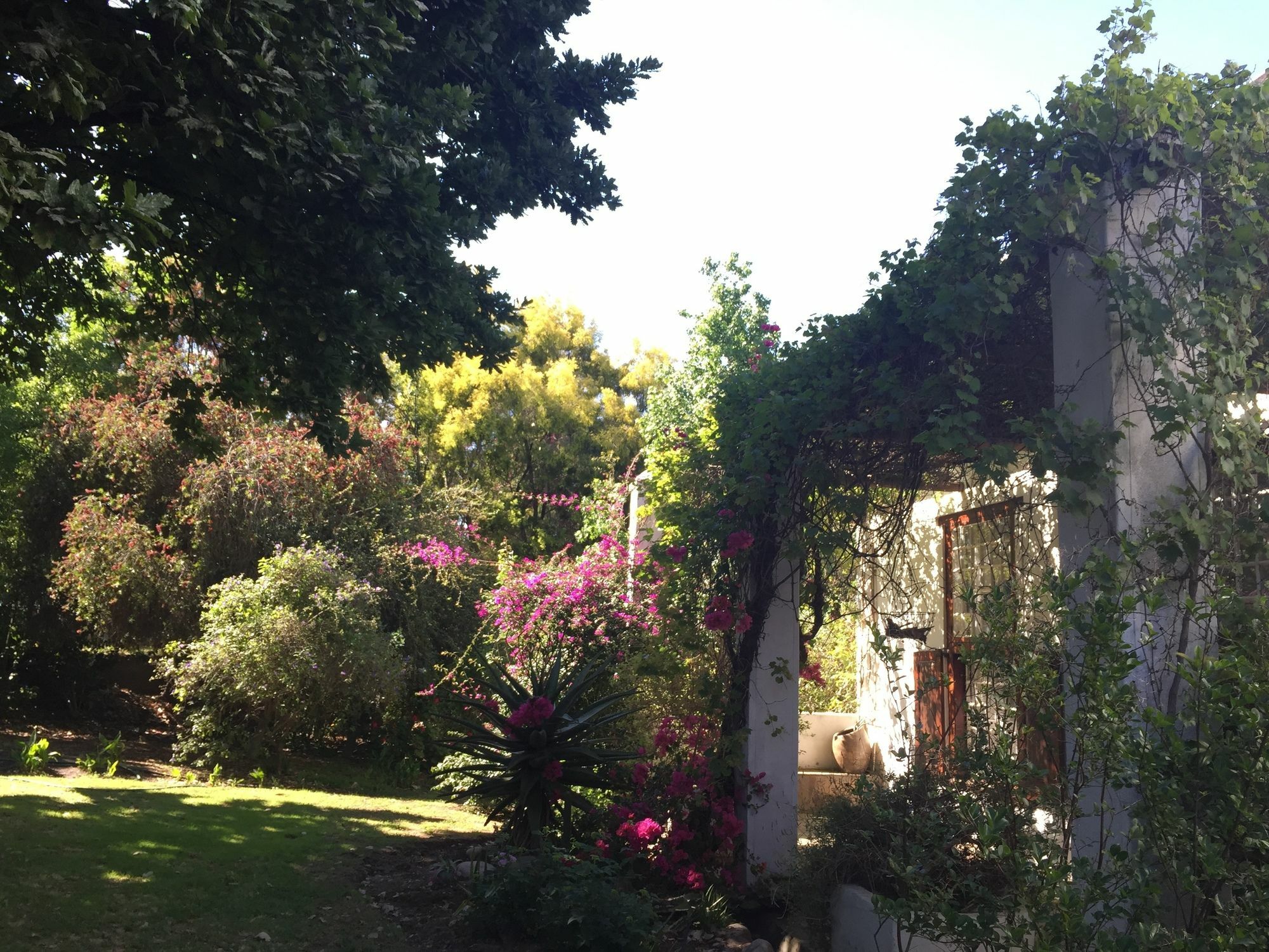 Wittedrift Manor House Hotel Tulbagh Exterior photo
